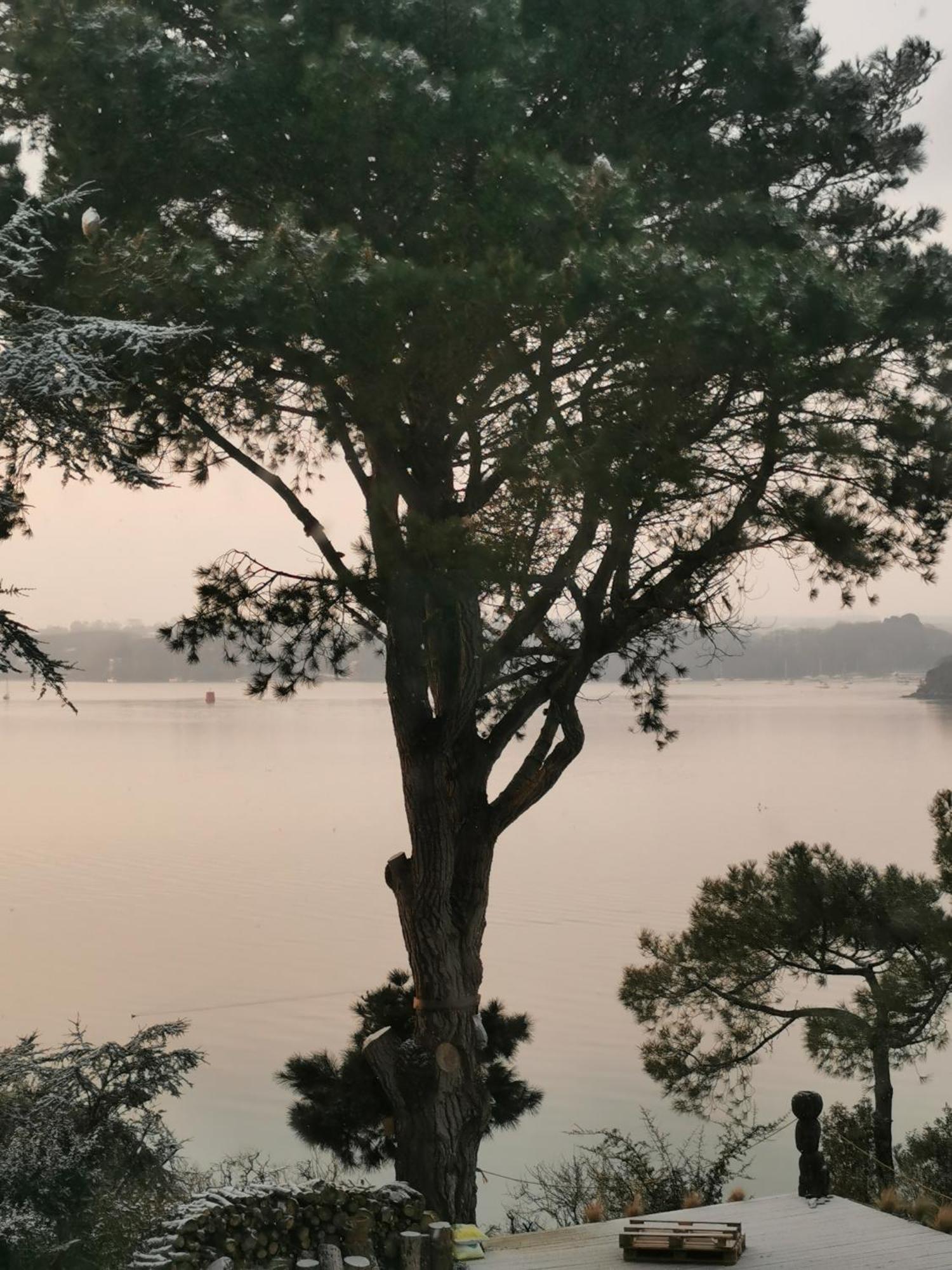 Appartement Les Pieds Dans L'Eau à Saint-Malo Extérieur photo