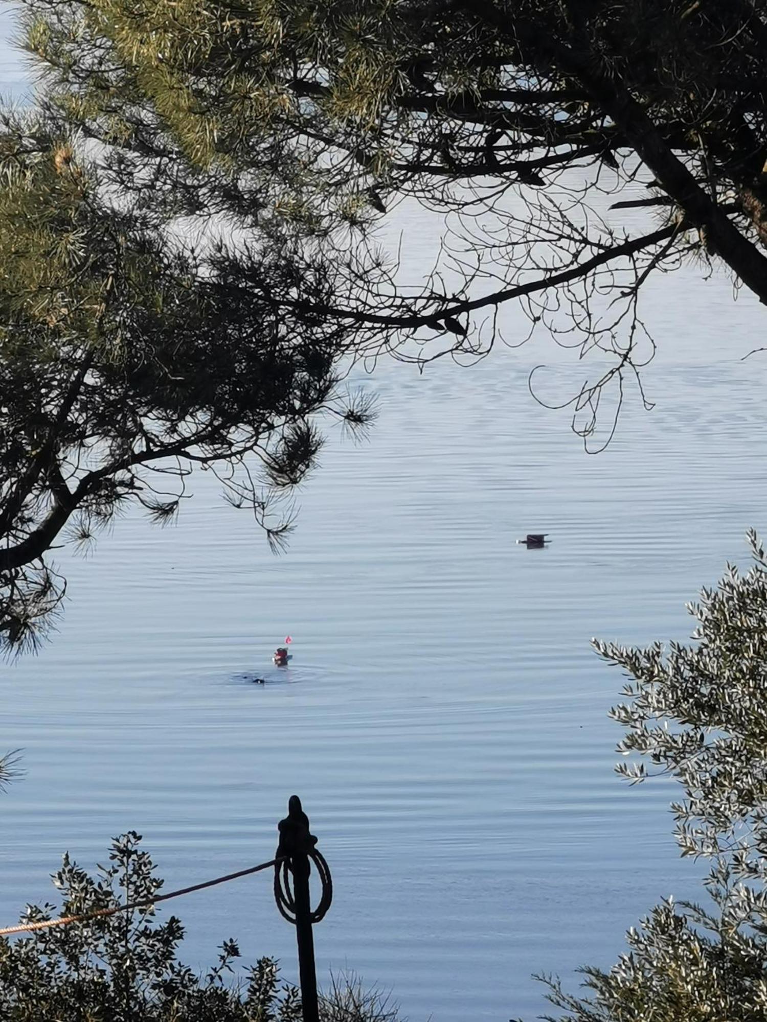 Appartement Les Pieds Dans L'Eau à Saint-Malo Extérieur photo